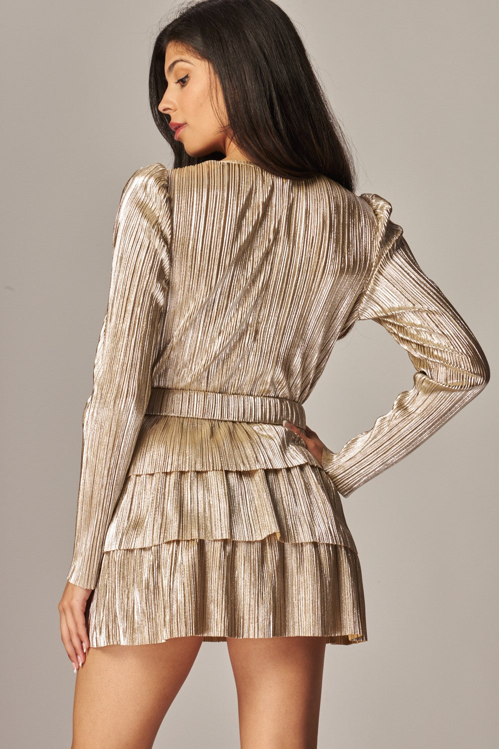 Sophia Metallic Dress